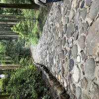 IMG_9565
