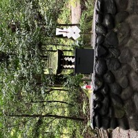 IMG_9566