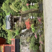 IMG_9569