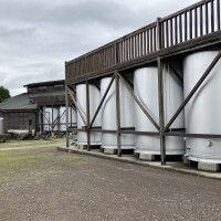 IMG_9576
