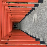 IMG_9793