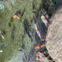 IMG_9795