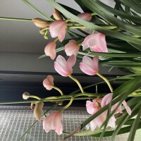 IMG_9830