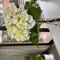 IMG_0156