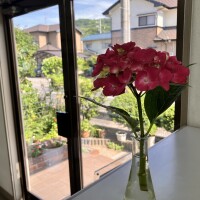 IMG_9911
