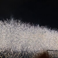 IMG_0753