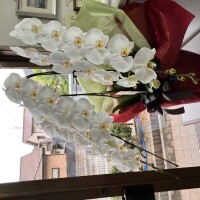 IMG_0761