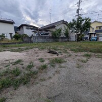 IMG_0841