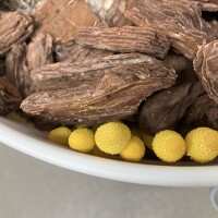 IMG_1217